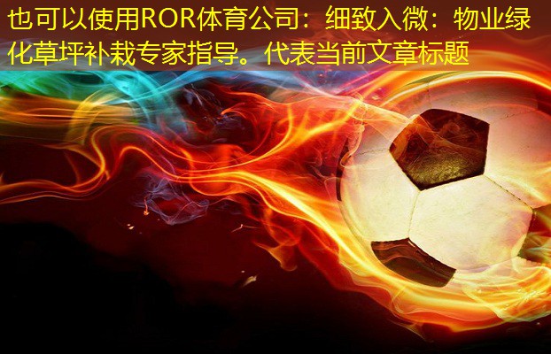 细致入微：物业绿化草坪补栽专家指导。